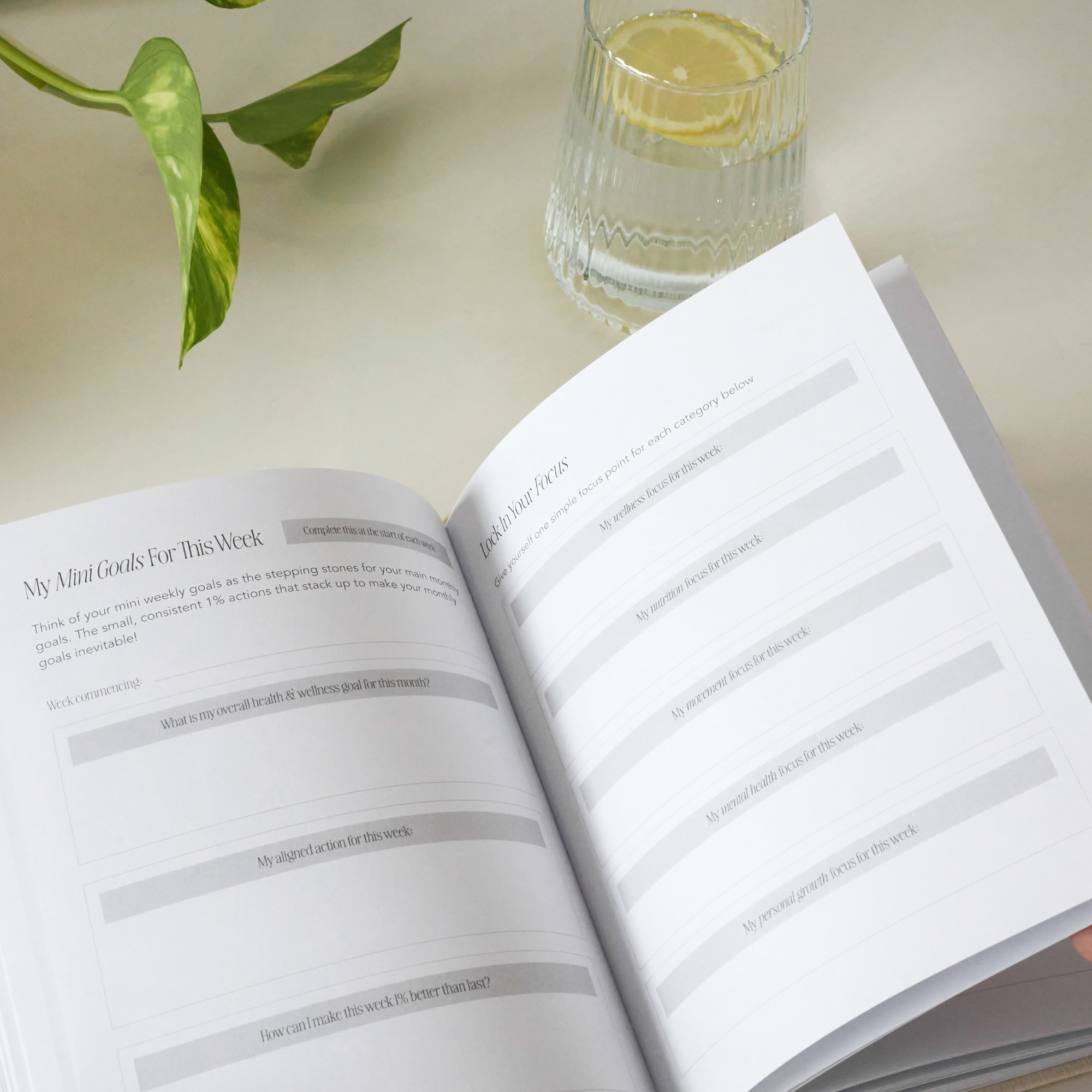 Health & Wellness Journal