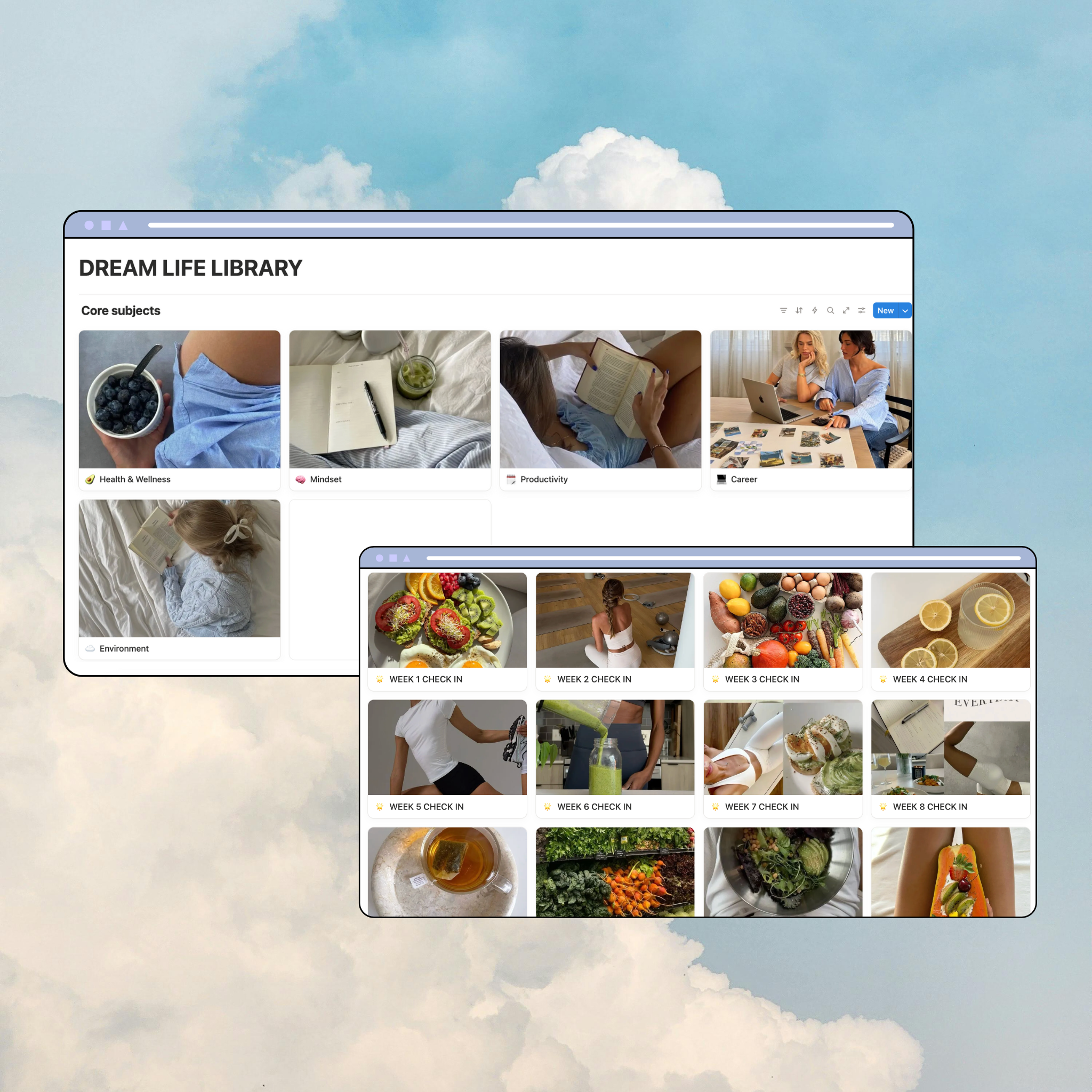 Dream Life Library Notion Template