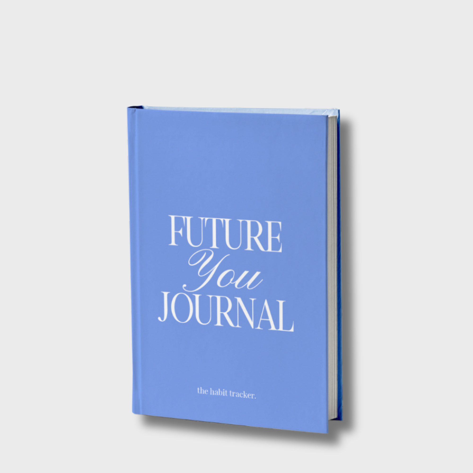 Future You Journal
